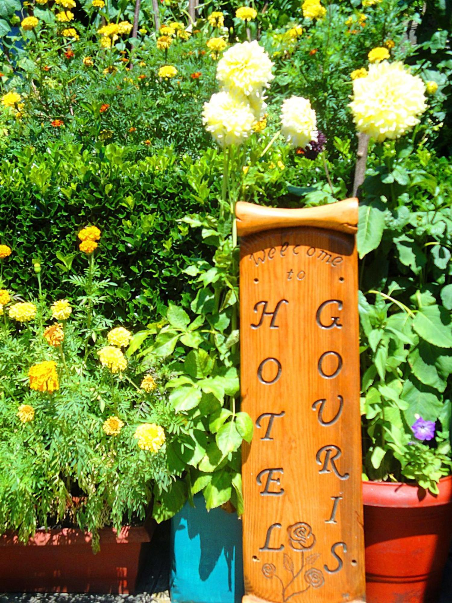 Guesthouse Gouris Tsepelovo Exterior photo