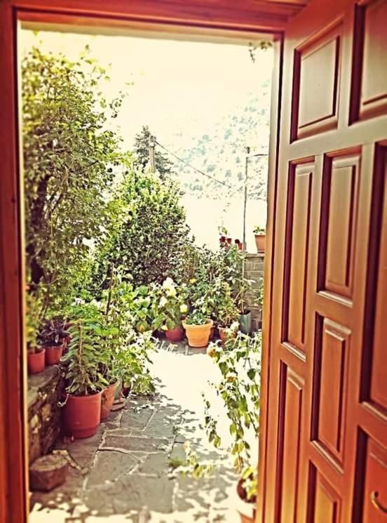 Guesthouse Gouris Tsepelovo Exterior photo